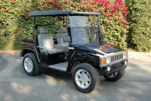 affordable golf cart rental, golf cart rent st augustine, cart rental st augustine